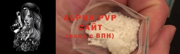 эйфоретик Богданович