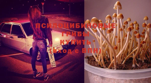 круглые Богородск