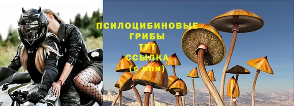каннабис Богородицк