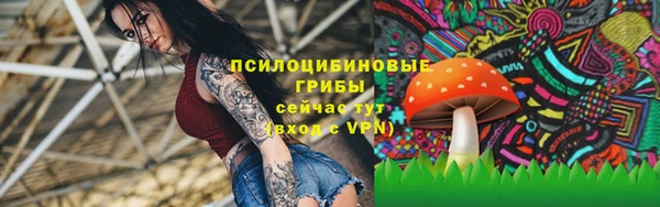 эйфоретик Богданович