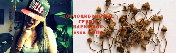 эйфоретик Богданович